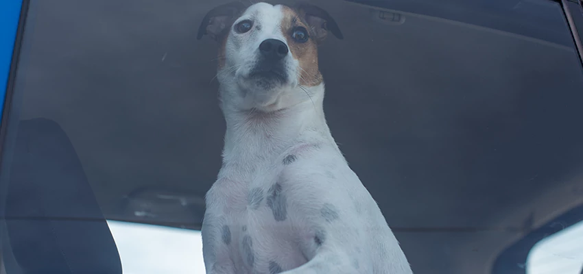 Car Lockout Solutions in Oakland, California